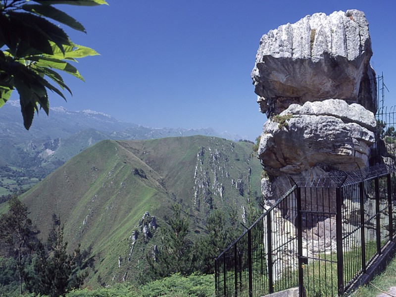 Trip image