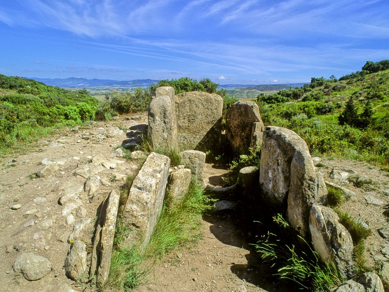 Trip image