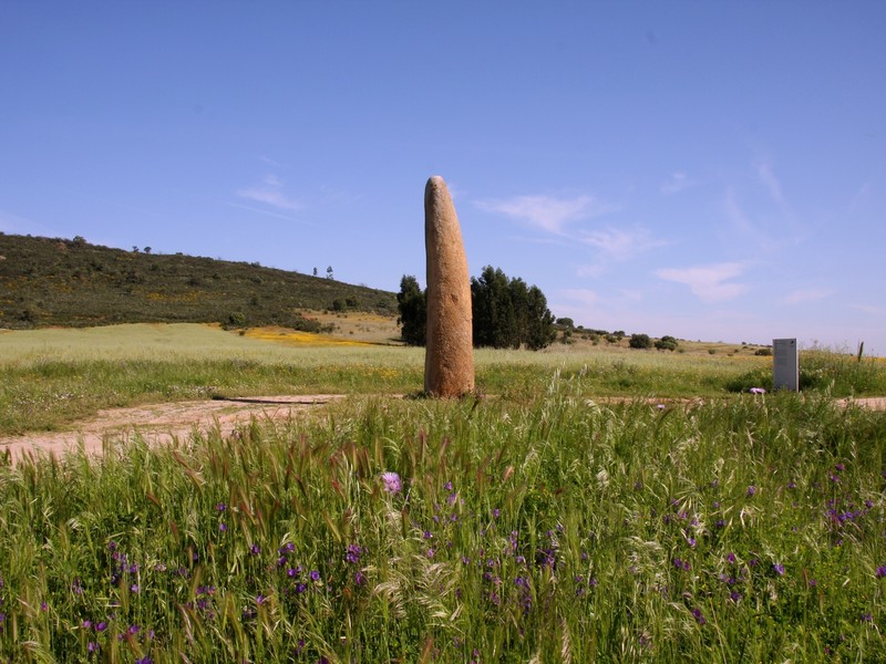 Trip image