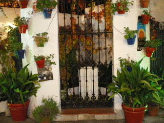 Trip image