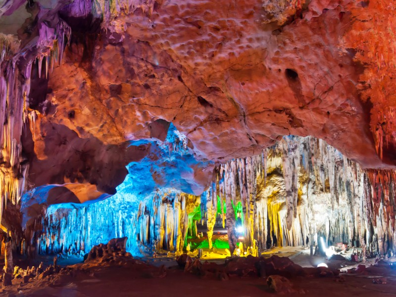 Trip image