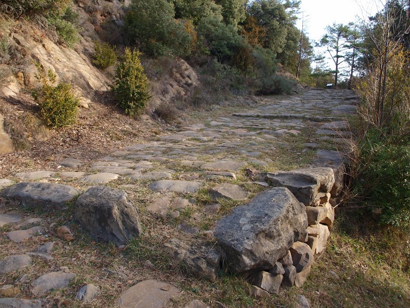 Trip image