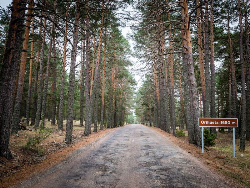 Trip image