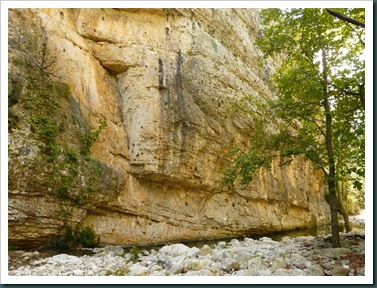 Trip image