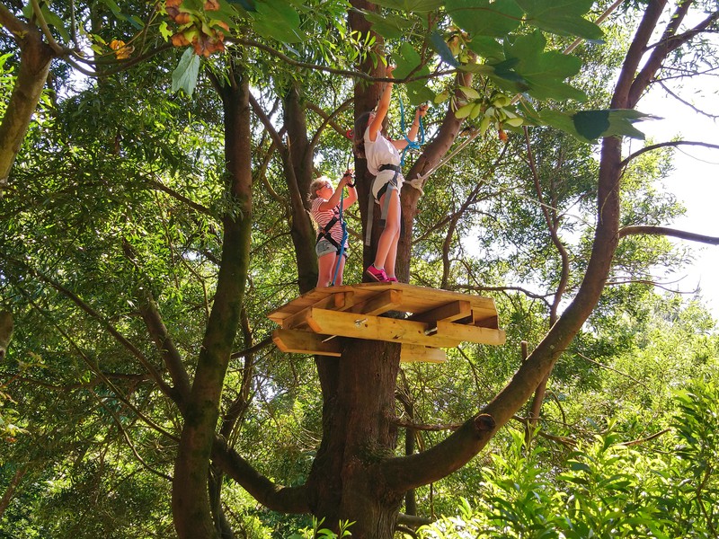 Trip image