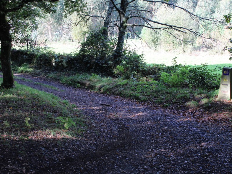 Trip image