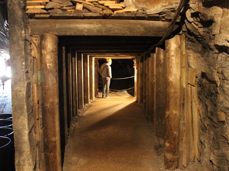 Trip image