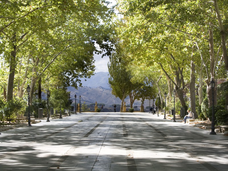 Trip image