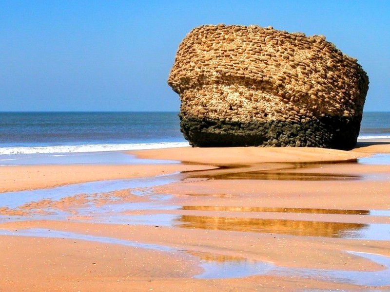 Trip image