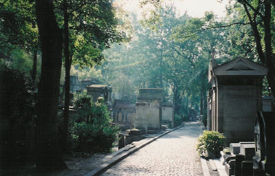 Trip image
