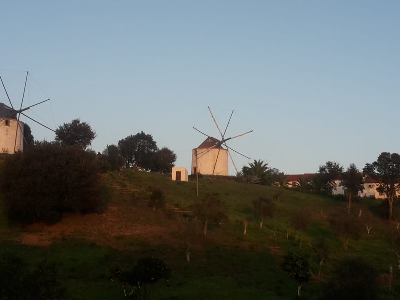 Trip image