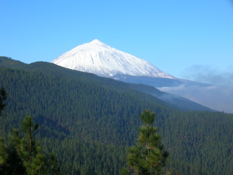 Trip image
