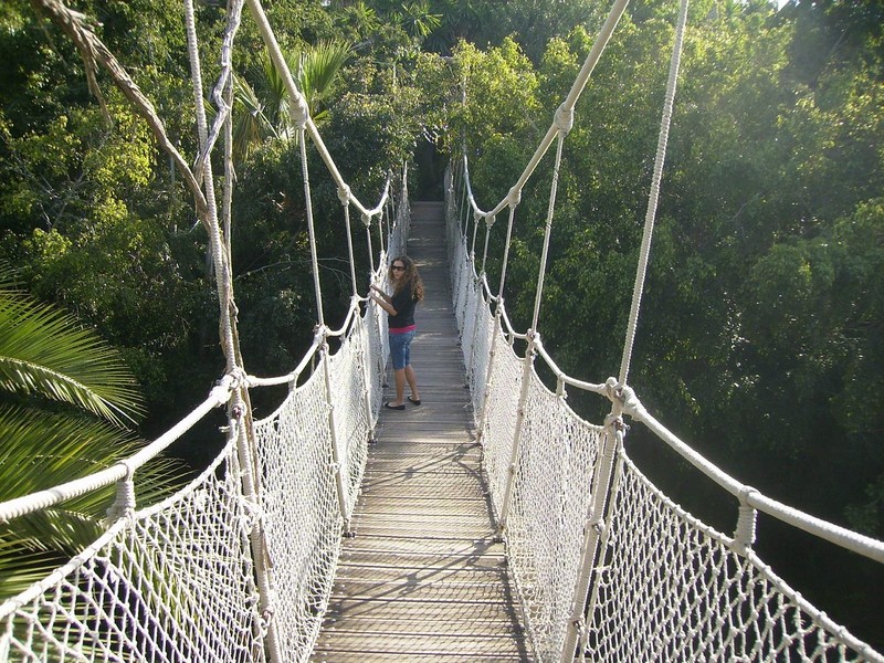 Trip image