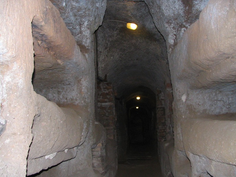 Trip image