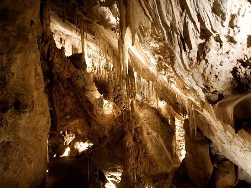 Trip image