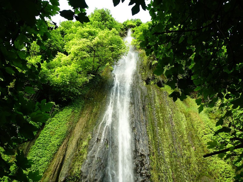 Trip image