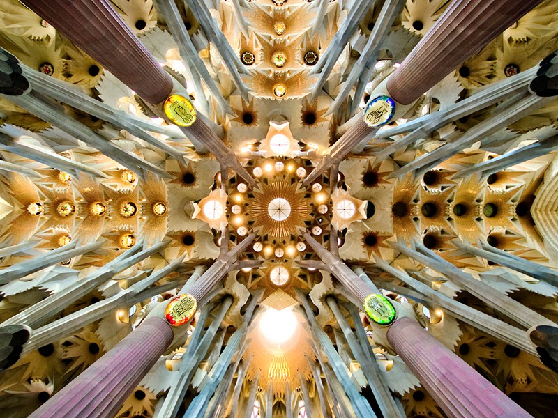 Trip image