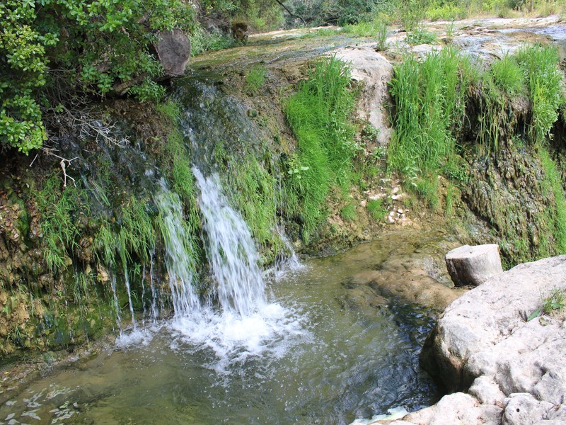 Trip image