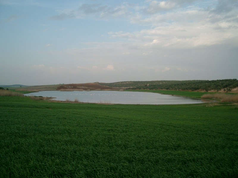 Trip image