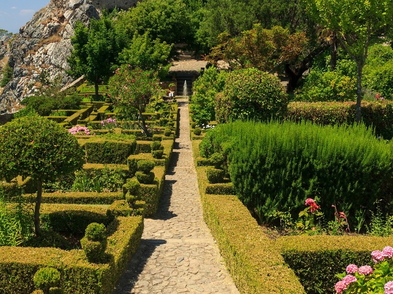 Trip image