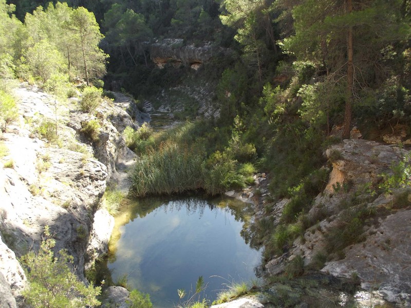 Trip image