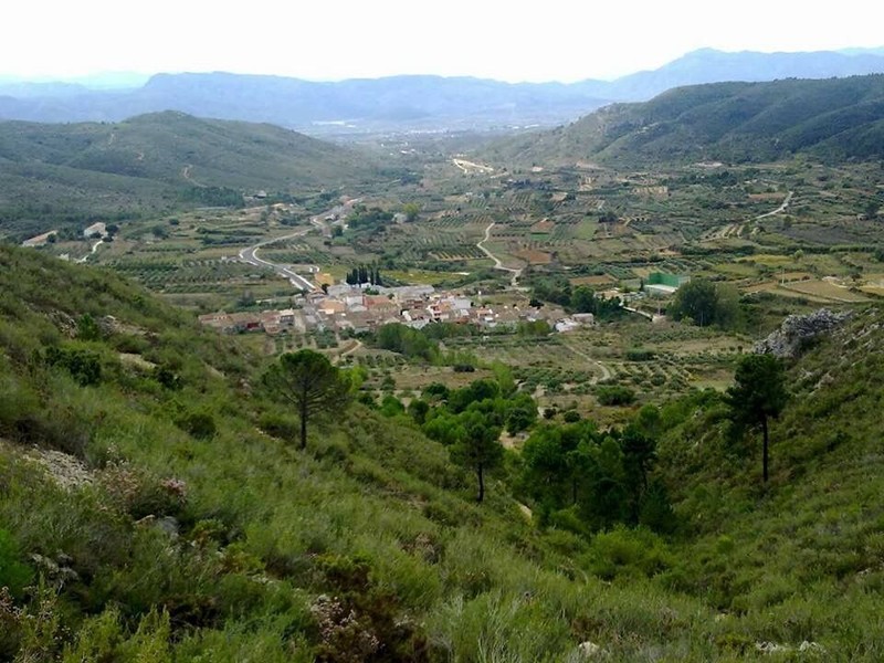 Trip image
